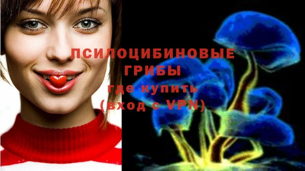 кокс Абинск