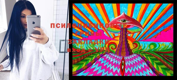 героин Алексин