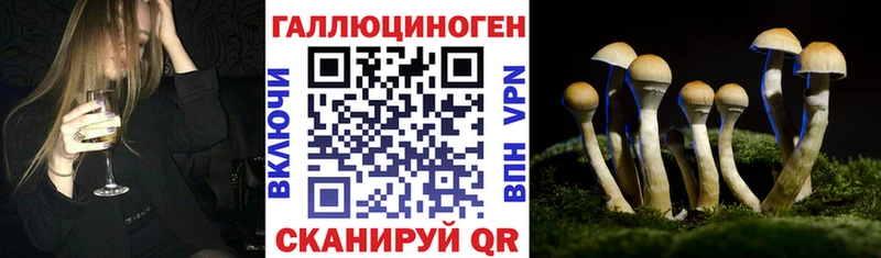 Галлюциногенные грибы ЛСД  как найти   Княгинино 